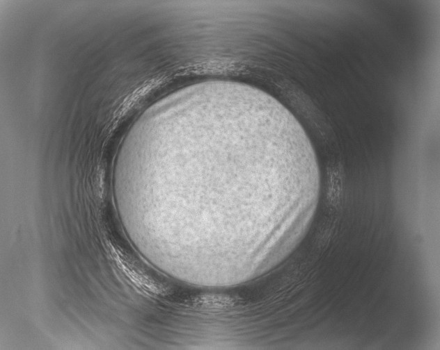 X0000085800636200703301459