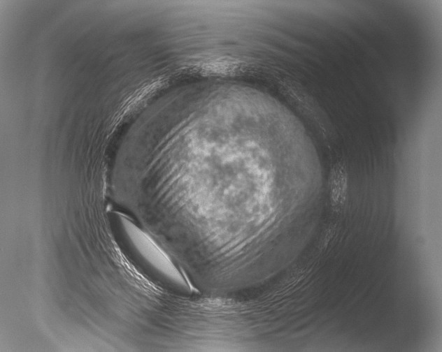 X0000085800637200703301459