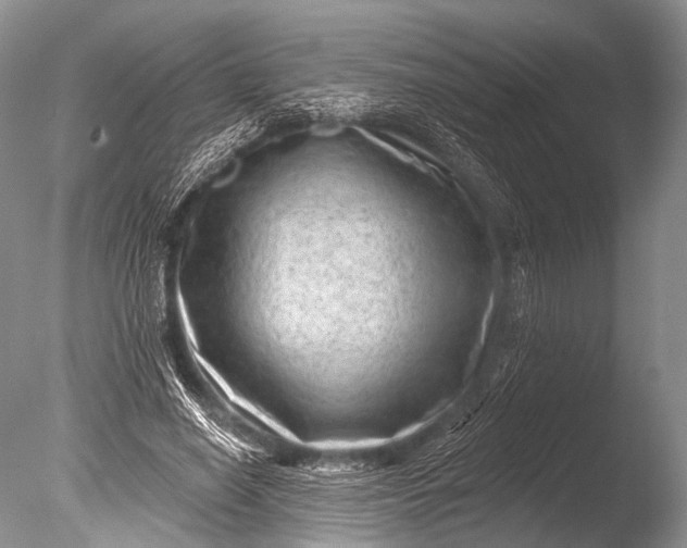 X0000085800638200703301459