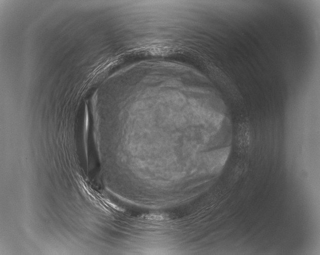 X0000085800639200703301459