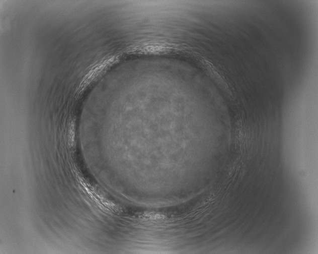 X0000085800640200703301459