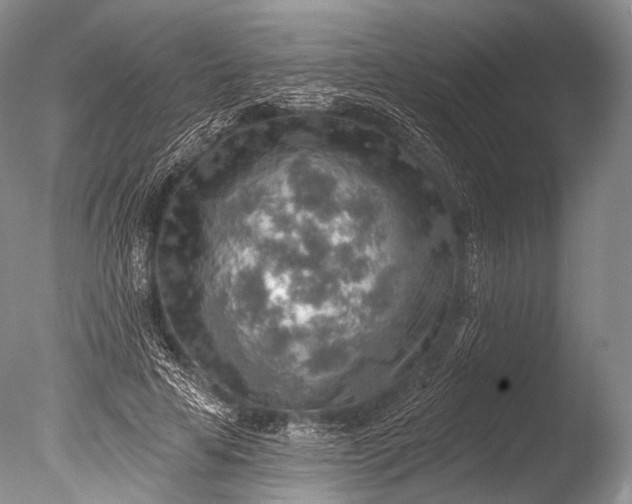 X0000085800641200703301459