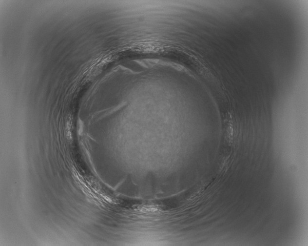 X0000085800643200703301459