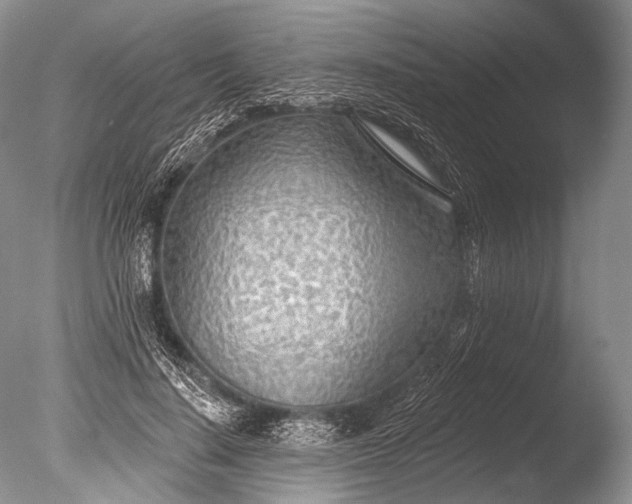 X0000085800644200703301459