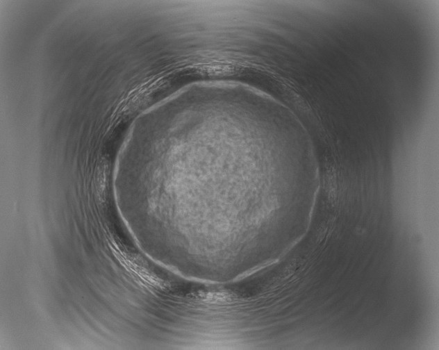 X0000085800645200703301459