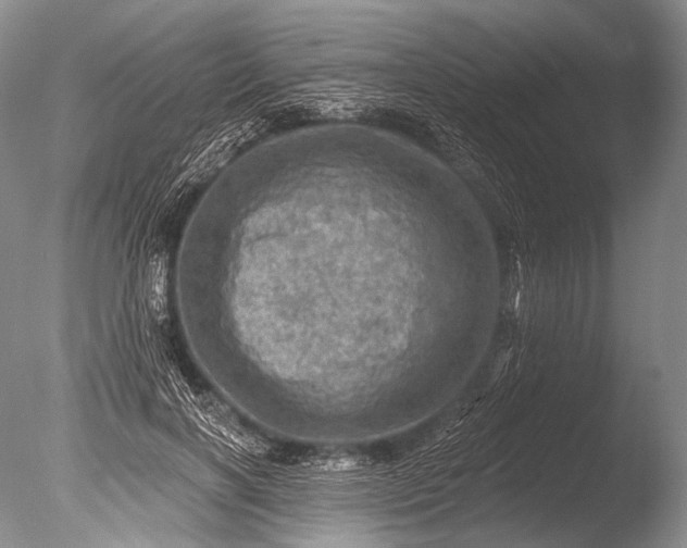 X0000085800646200703301459