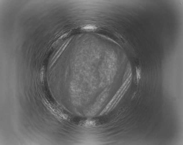 X0000085800647200703301459