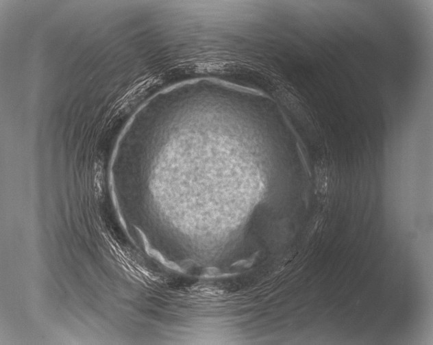 X0000085800648200703301459