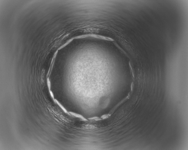 X0000085800649200703301459