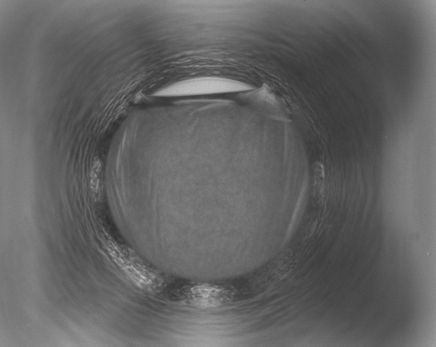 X0000085800650200703301459