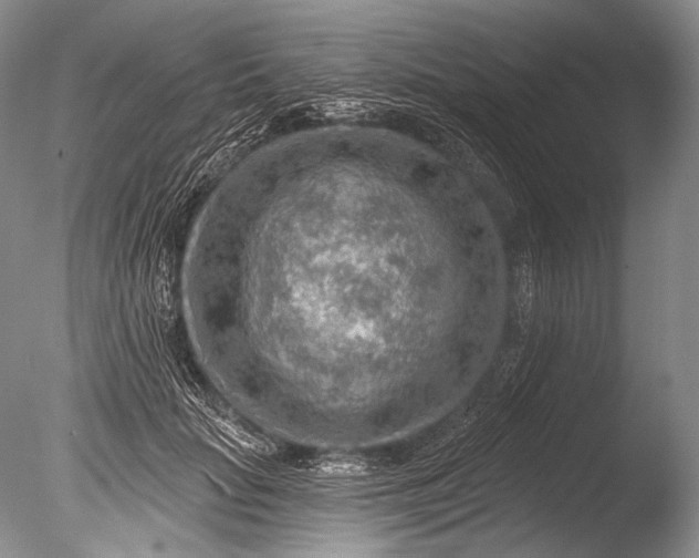 X0000085800653200703301459