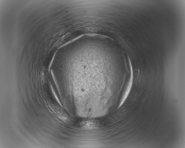 X0000085800655200703301459