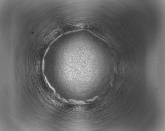 X0000085800656200703301459