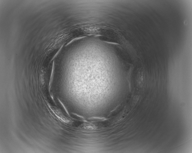 X0000085800658200703301459