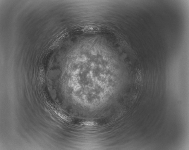 X0000085800659200703301459