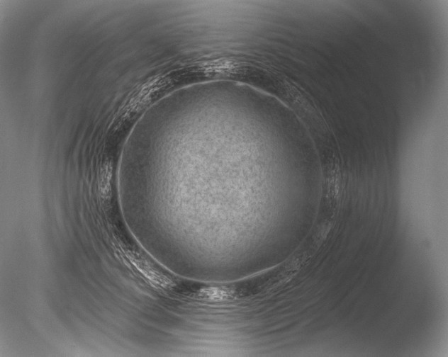 X0000085800660200703301459