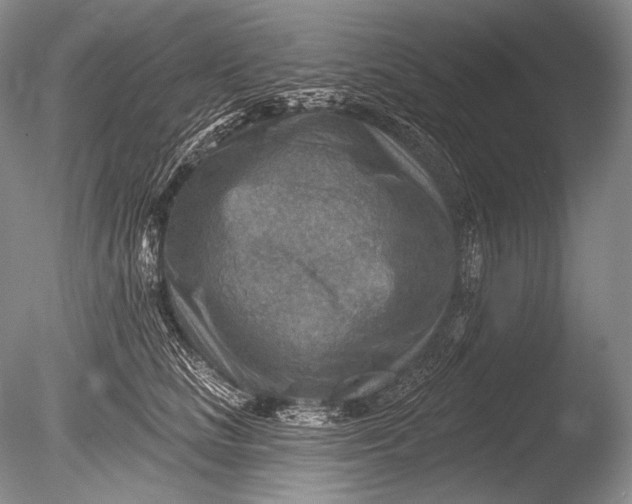 X0000085800661200703301459