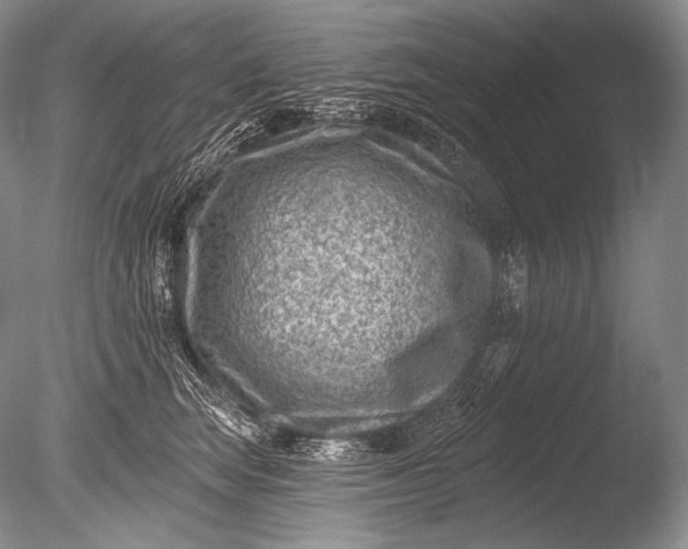 X0000085800663200703301459