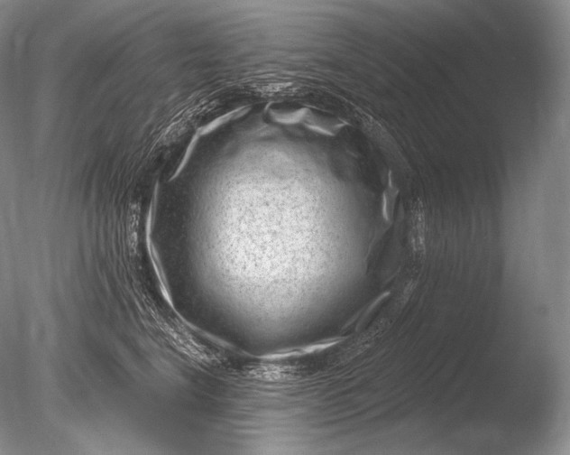 X0000085800664200703301500