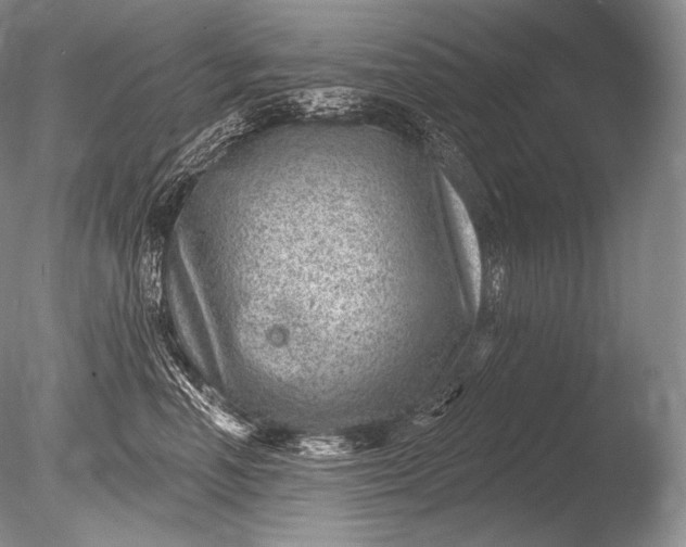 X0000085800666200703301500