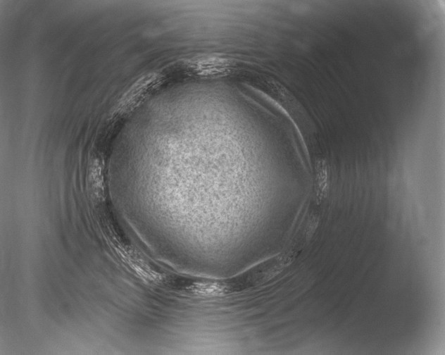 X0000085800667200703301500