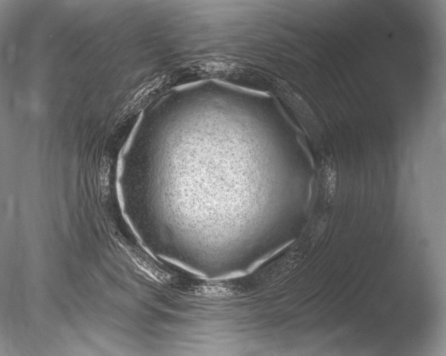 X0000085800668200703301500