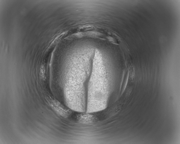 X0000085800669200703301500