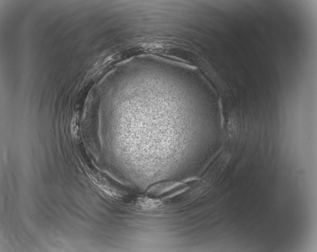 X0000085800671200703301500