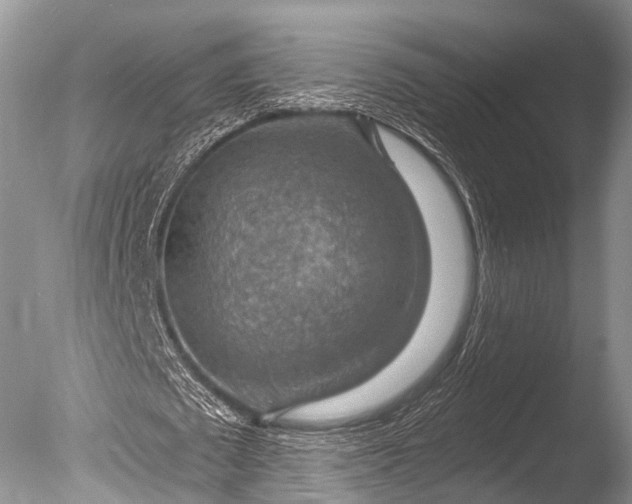 X0000085800673200703301459