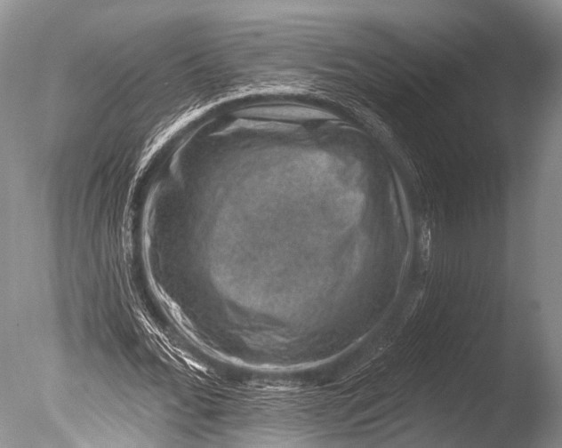 X0000085800676200703301459