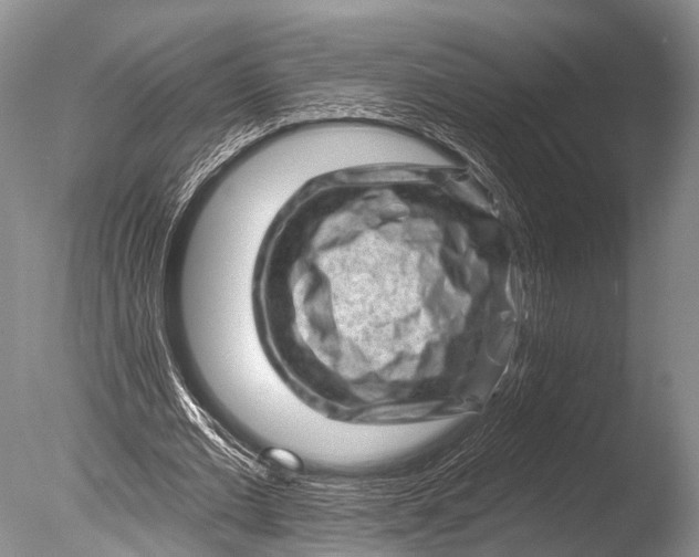 X0000085800677200703301459