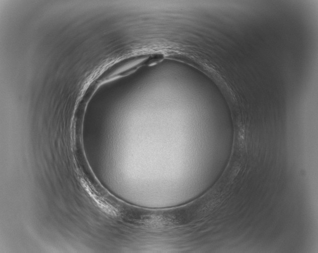 X0000085800678200703301459