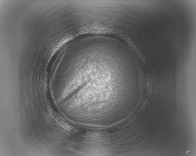 X0000085800679200703301459