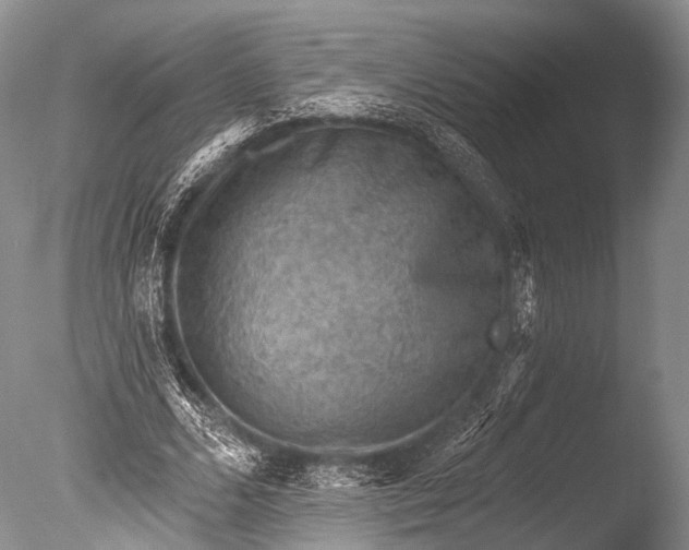 X0000085800680200703301459