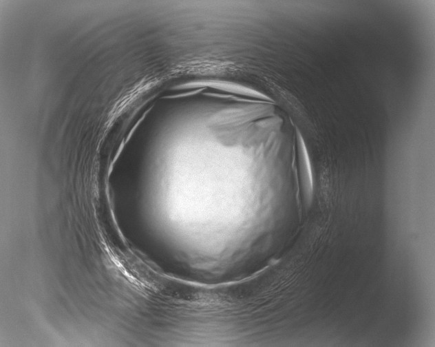 X0000085800682200703301459