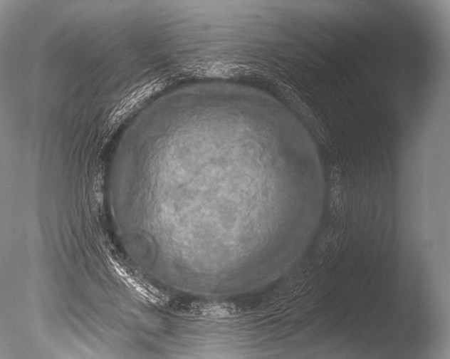 X0000085800683200703301459