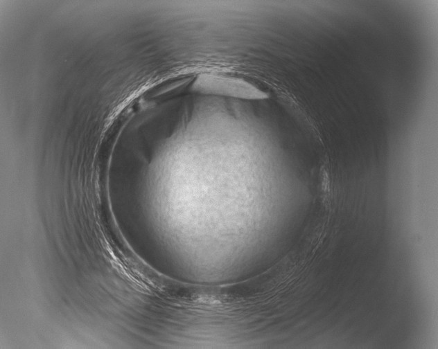 X0000085800684200703301459