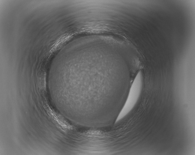 X0000085800685200703301459