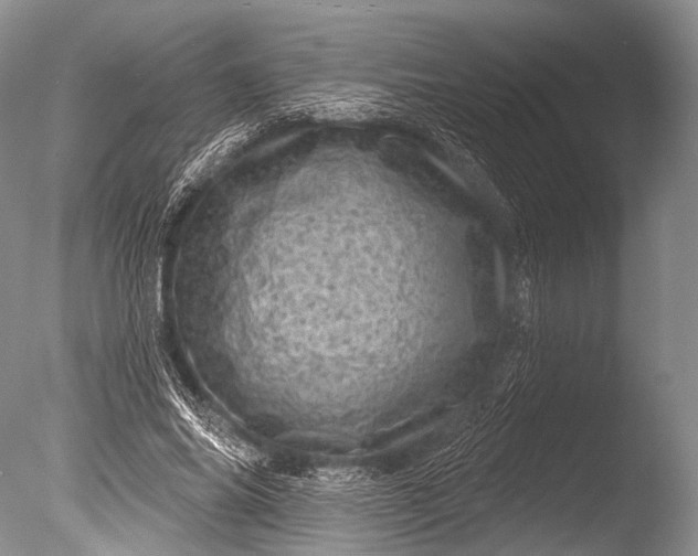 X0000085800686200703301459