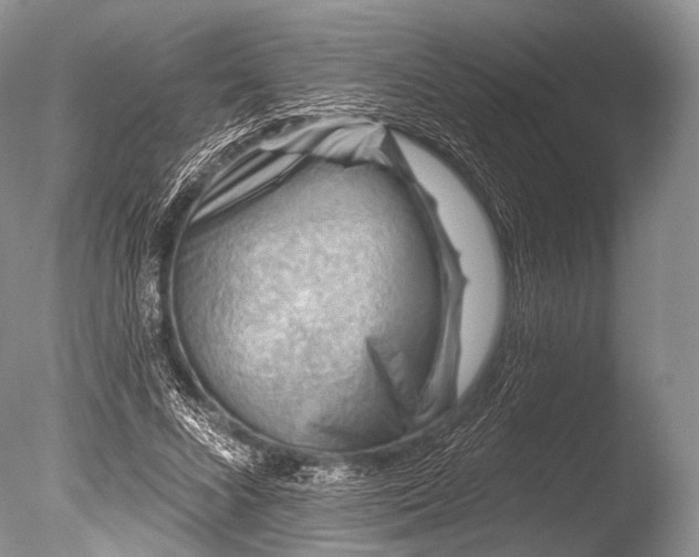 X0000085800688200703301459