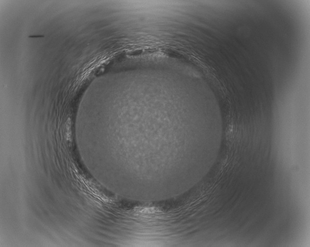 X0000085800689200703301459