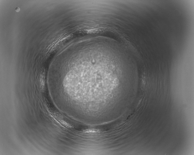 X0000085800691200703301459