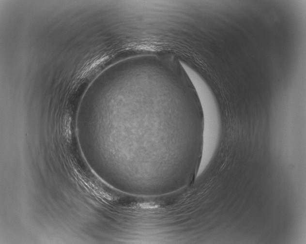 X0000085800692200703301458