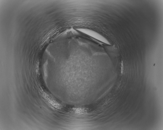 X0000085800693200703301458