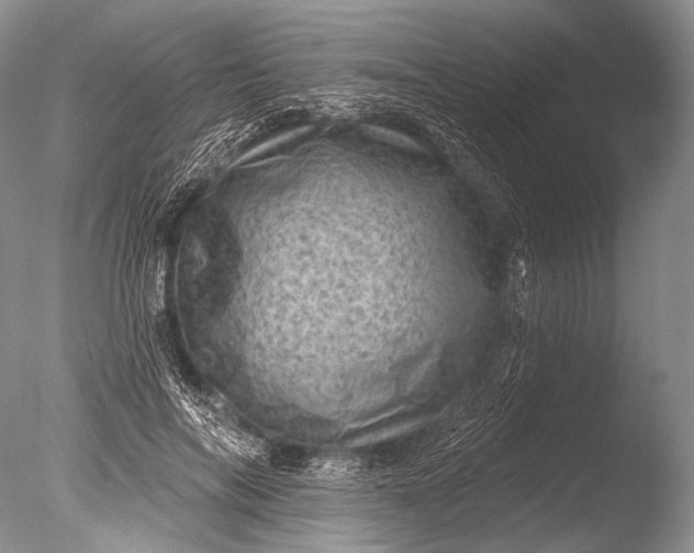 X0000085800694200703301458