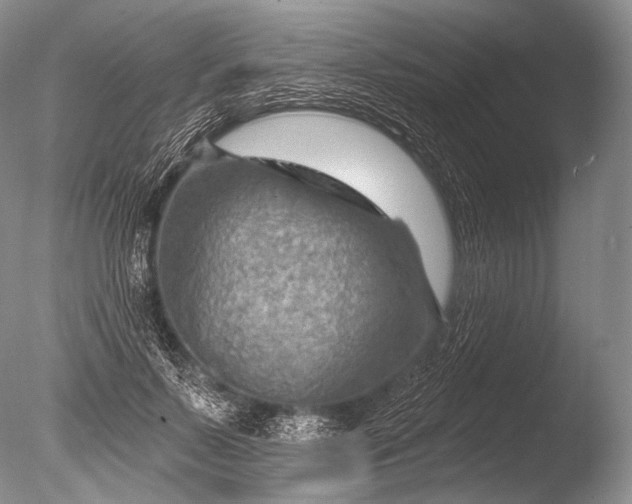 X0000085800695200703301458