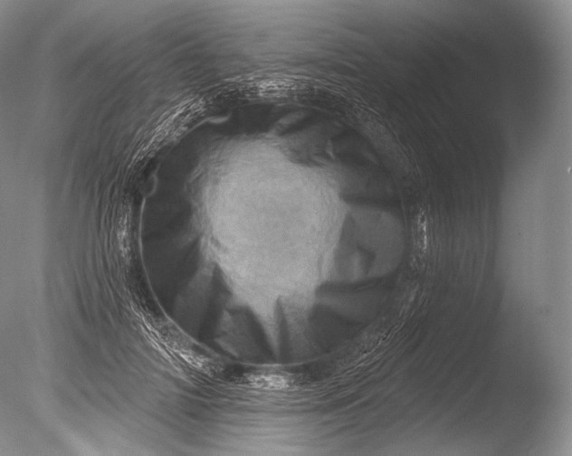 X0000085800698200703301458