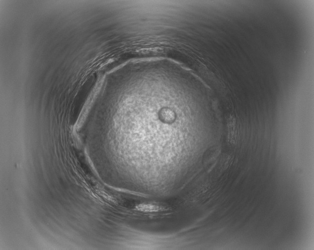 X0000085800699200703301458