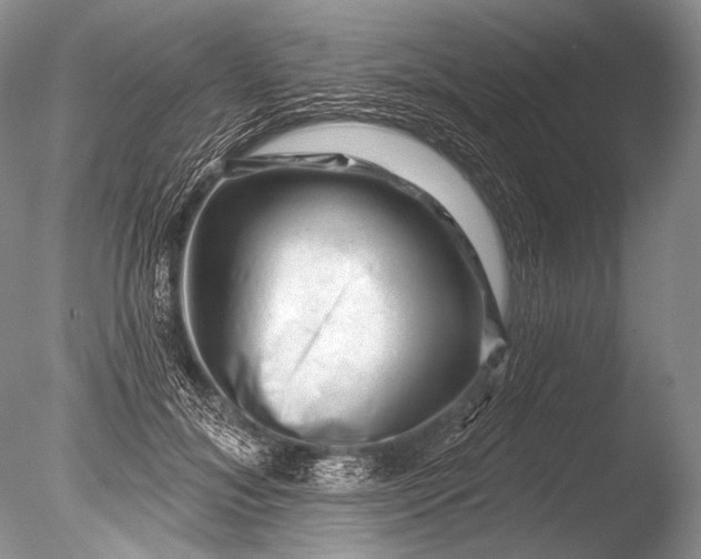 X0000085800700200703301458