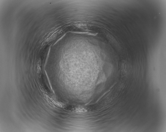 X0000085800702200703301458